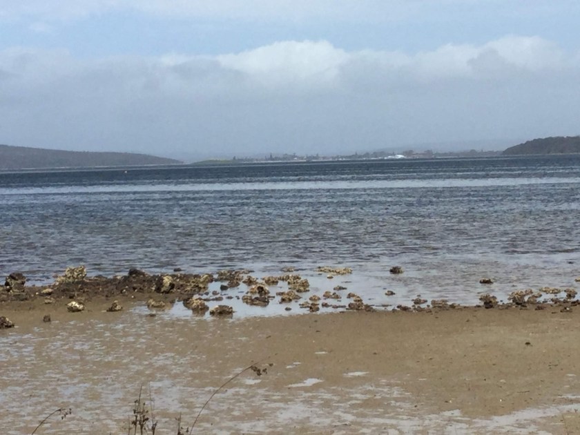 8A0267BC-B025-46E4-9DC7-E3F90EC07B92