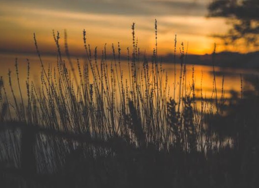 In the wake of the verdict (and appeal decision) relating to Pell&nbsp;…