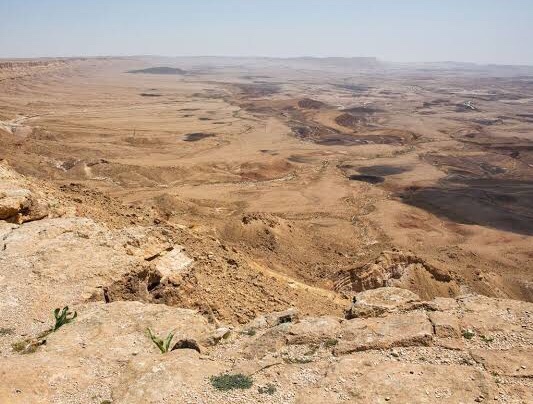 Sacred place and sacred scripture: forty days in the wilderness (Luke 4; Lent&nbsp;1C)