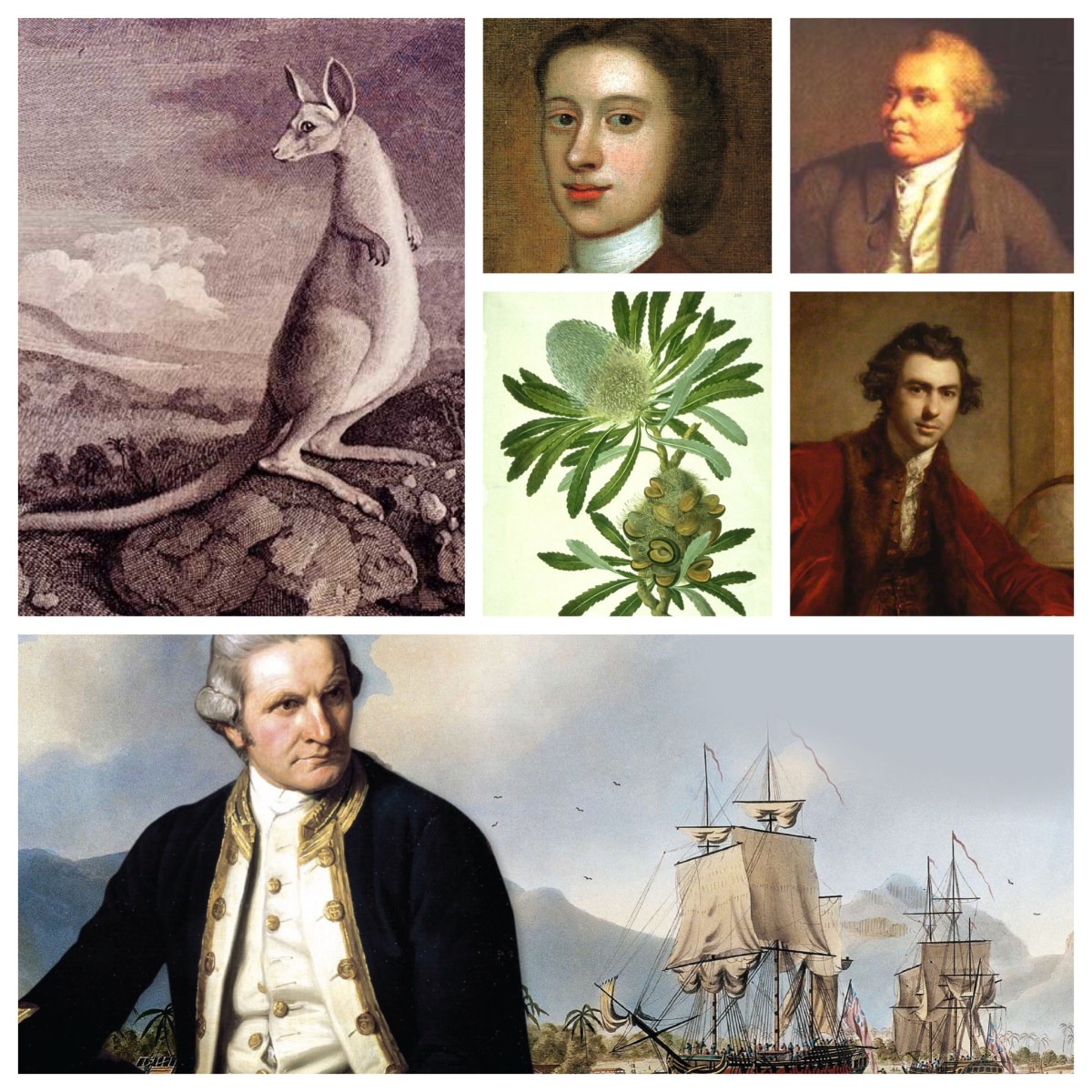 “We weigh’d and run into the Harbour”. Cook, the Endeavour, and the Guugu&nbsp;Yimithirr