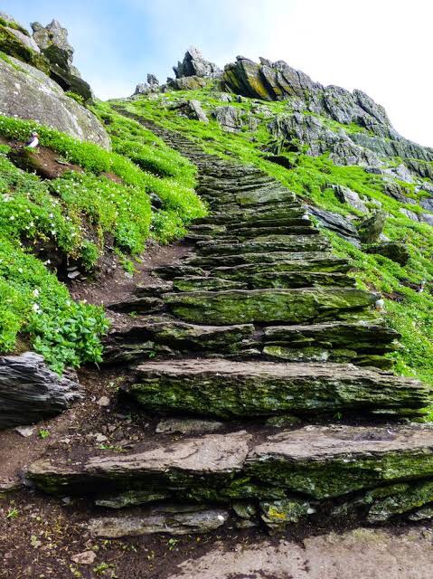 Holy Week 3: ascending to Jerusalem (Psalms&nbsp;125-127)