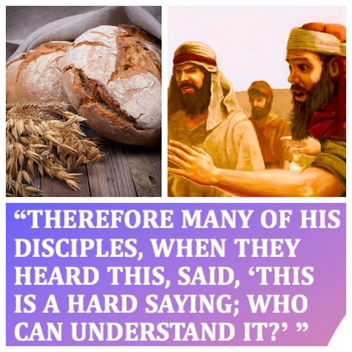 This is a hard saying; who can listen to it? (John 6; Pentecost&nbsp;9B—13B)