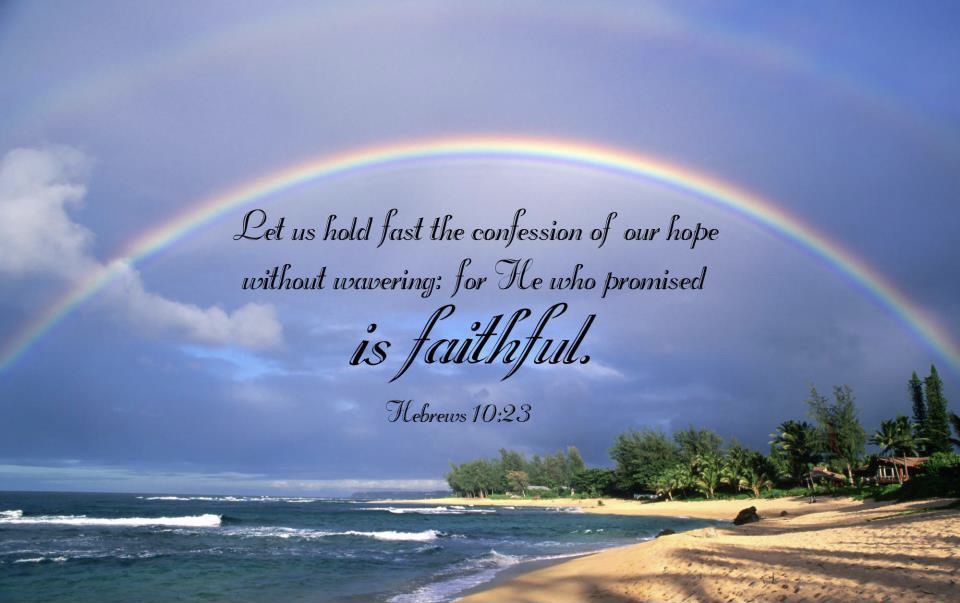 The assurance of hope in “the word of exhortation” (Hebrews 10: Pentecost&nbsp;25B)