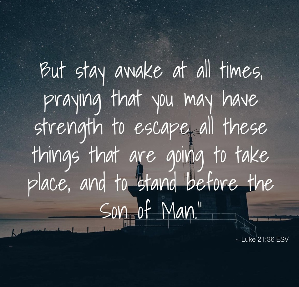 “Be alert at all times, praying that you may have the strength … to stand before the Son of Man” (Luke 21; Advent&nbsp;1C)