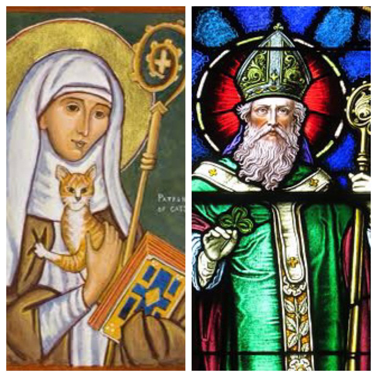 Patrick (and snakes) … and Gertrude (and cats) on 17&nbsp;March