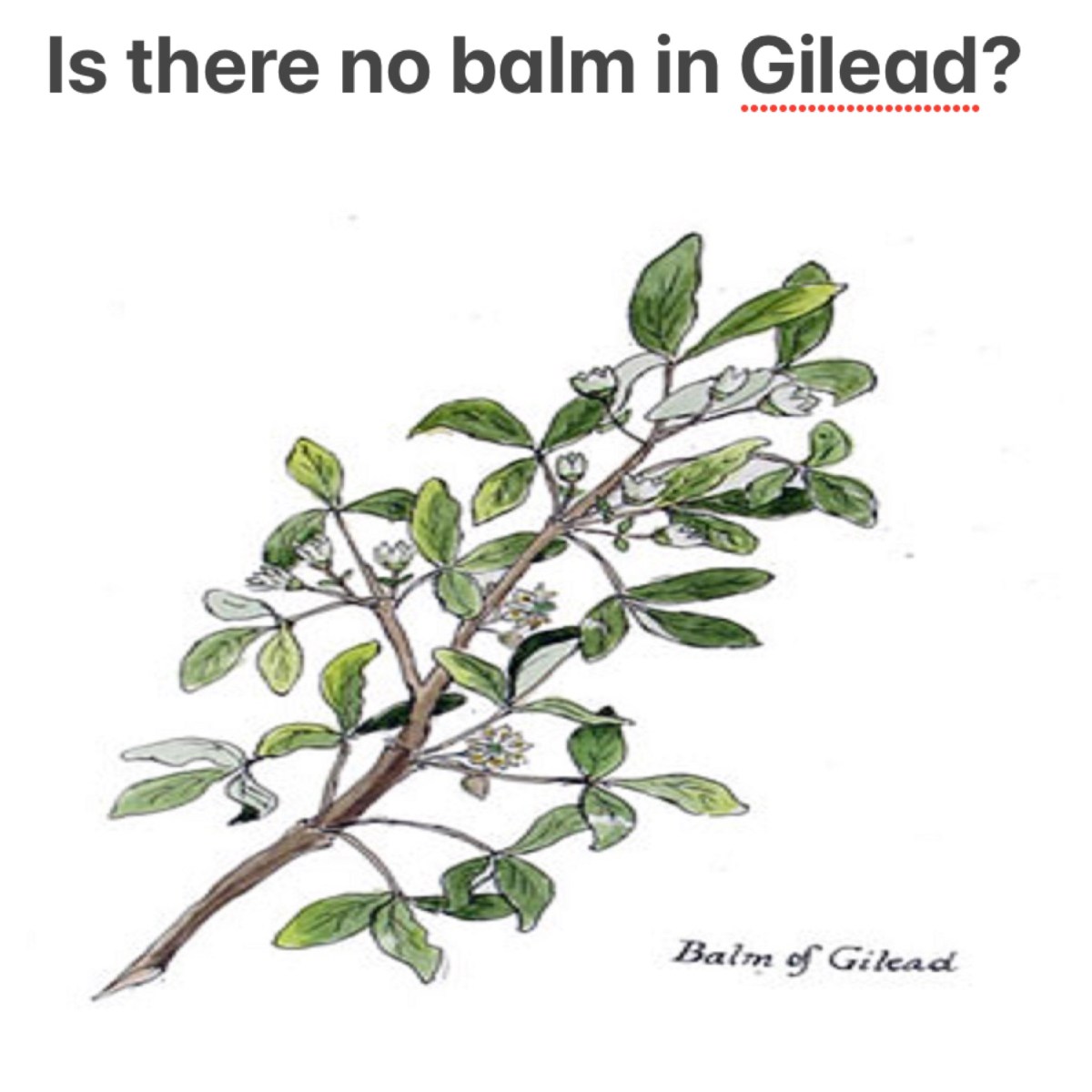 Is there no balm in Gilead? (Jeremiah 8; Pentecost&nbsp;15C)