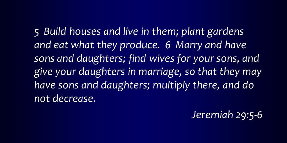Seek the welfare of the city (Jeremiah 29; Pentecost&nbsp;18C)