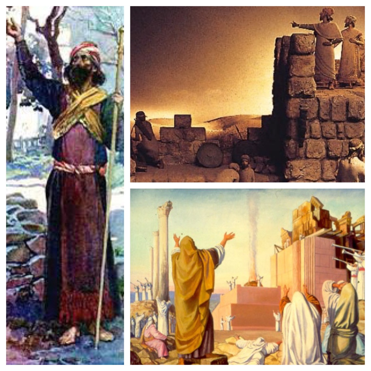 Your king is coming, sitting on a donkey (Zech 9; Matt 21; Lent 6A, Palm&nbsp;Sunday)