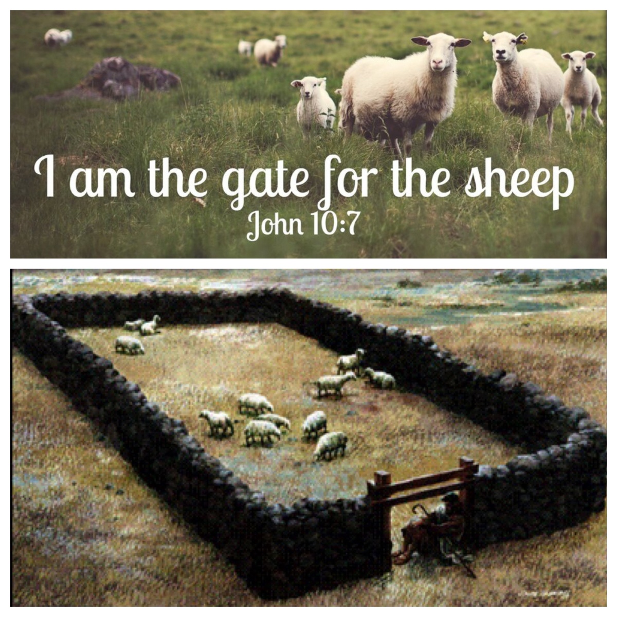 I am the gate for the sheep (John 10; Easter&nbsp;4A)
