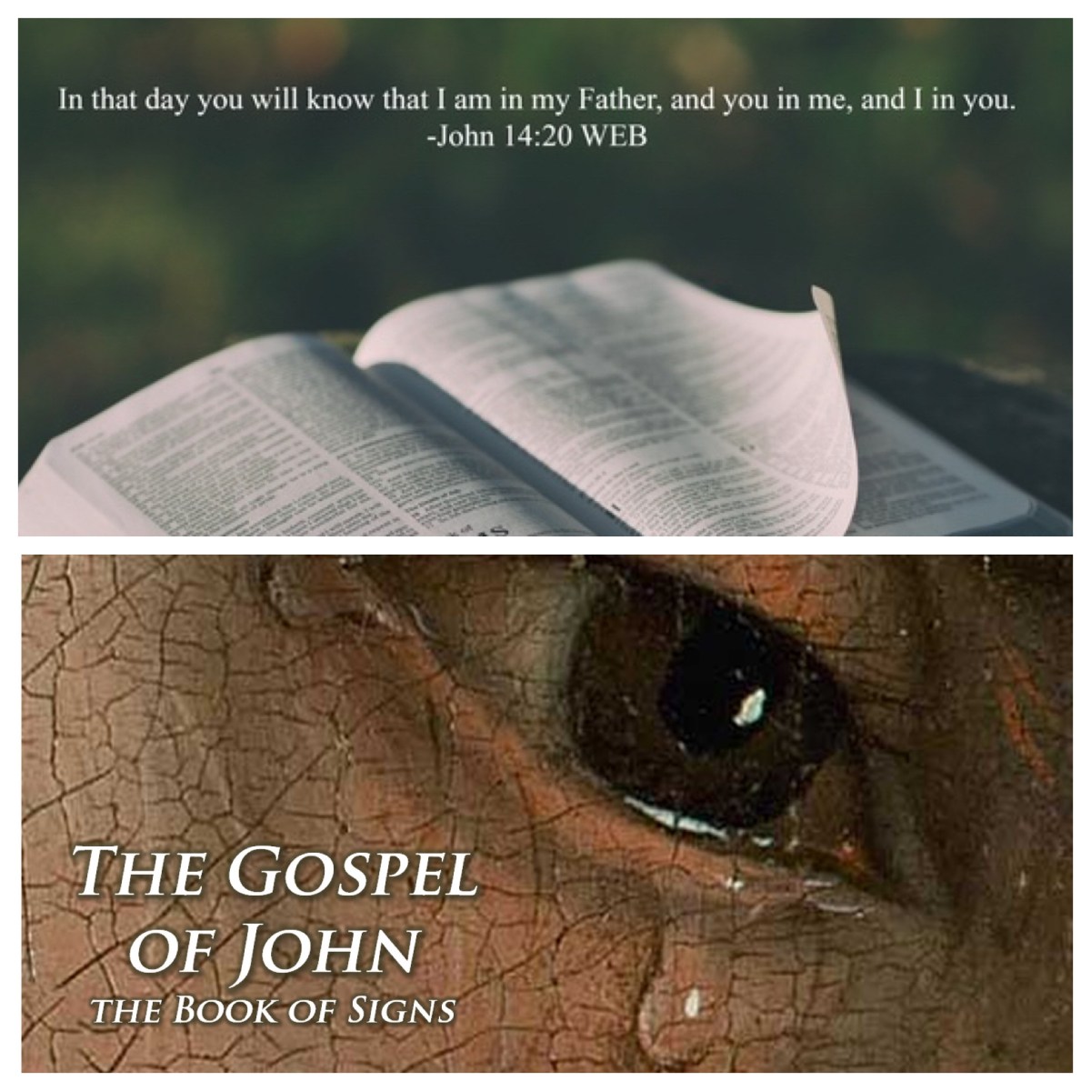 You in me and I in you: the Johannine interrelationship of Father, Son, and disciples (John 14; Easter&nbsp;6A)