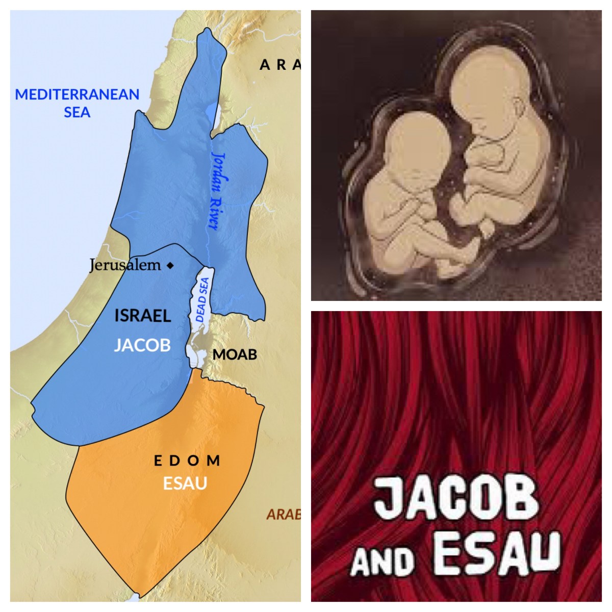 Twins! (Gen 25; Pentecost&nbsp;7A)