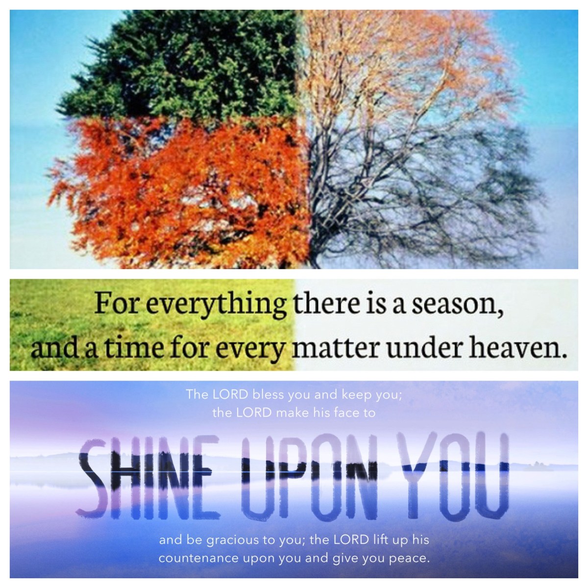 From the old to the new: a blessing for the season (Eccles 1, Num 6; Jan&nbsp;1)