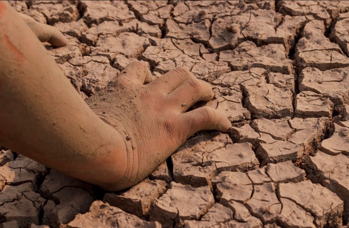 Forty days, led by the Spirit: Jesus in the wilderness (Mark&nbsp;1)