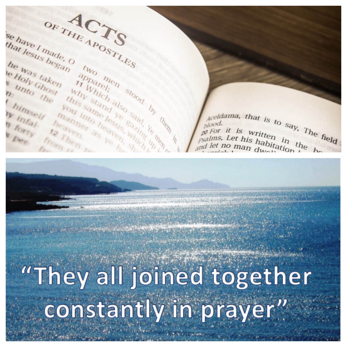 Constantly devoting themselves to prayer (Acts 1; Narrative Lectionary for Easter&nbsp;2)