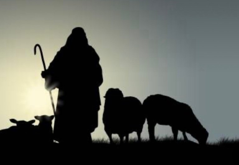 I am the good shepherd [who] lays down his life for the sheep (John 10 ...