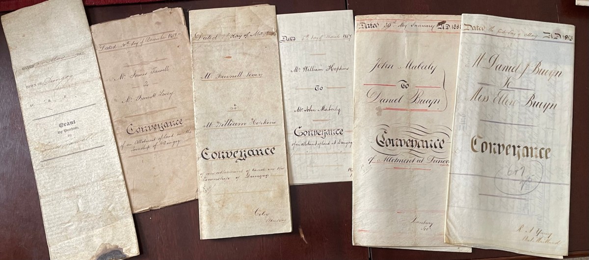 The Bruyns of Brown Street (2): Early Landholders in Brown&nbsp;Street