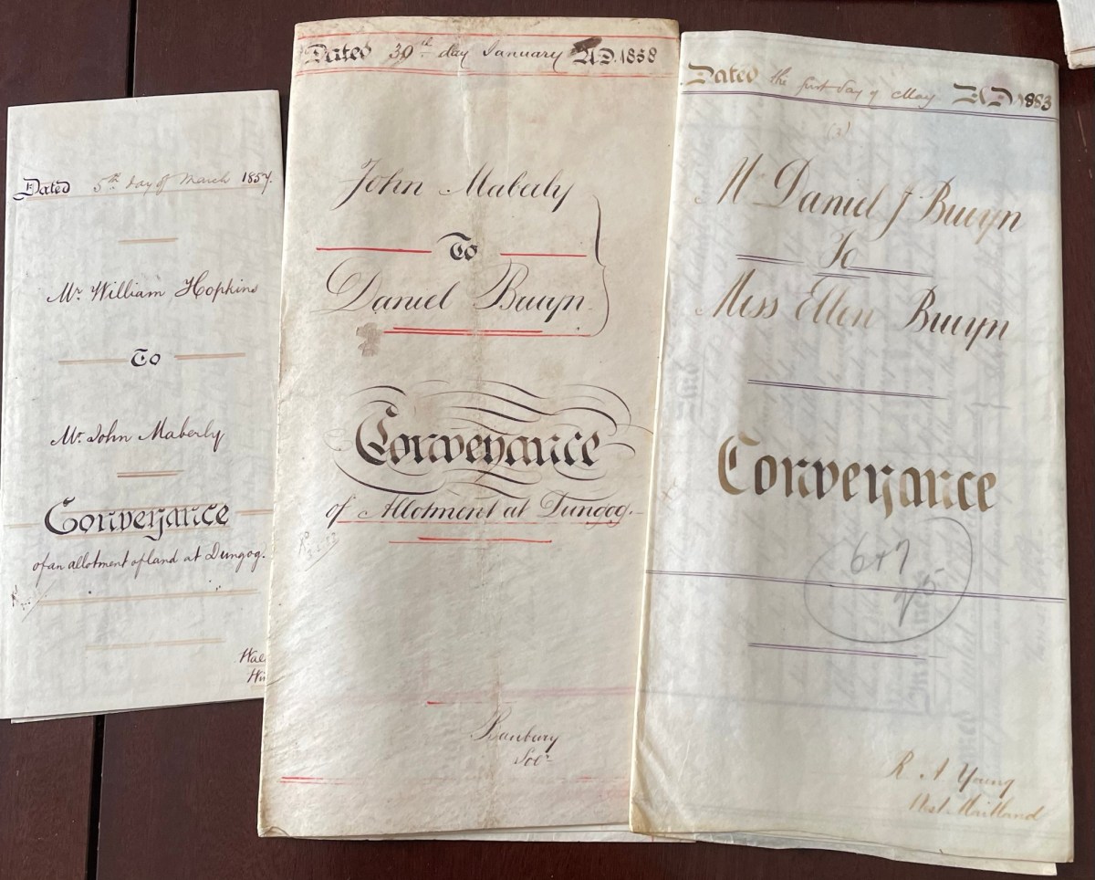 The Bruyns of Brown Street (4)—Daniel, Sarah, and family&nbsp;(cont.)