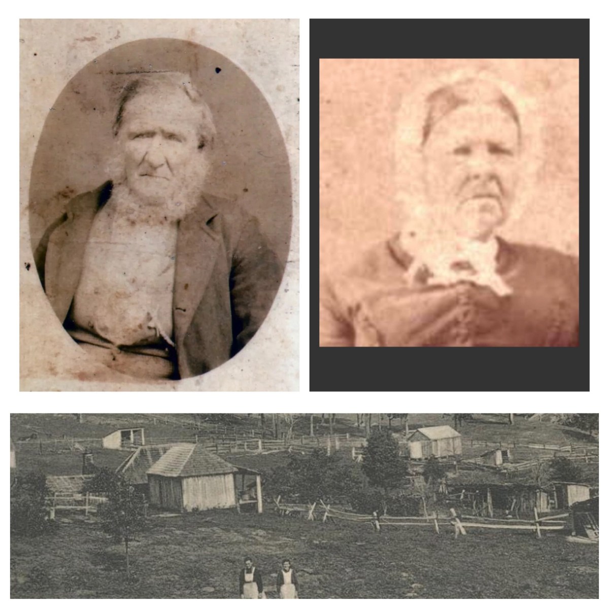 The Bruyns of Brown Street (3)—Daniel, Sarah, and the Bruyn&nbsp;family