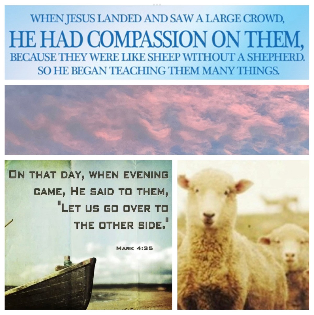 What’s in, and what’s out (Mark 6; Pentecost&nbsp;9B)