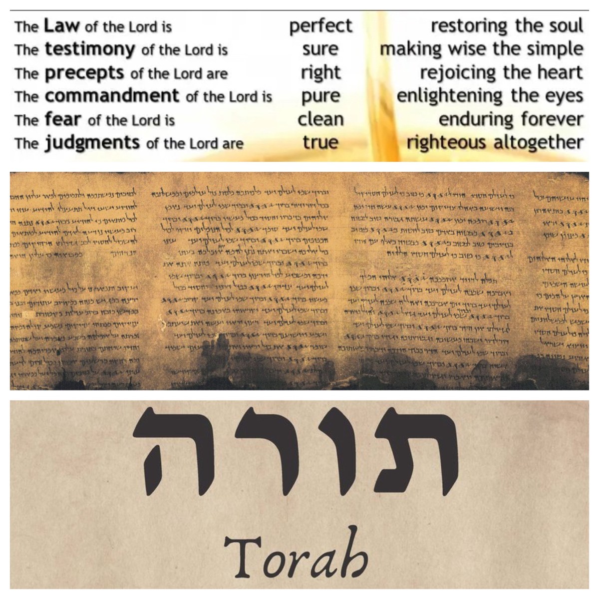 In praise of Torah (Psalm 19; Pentecost&nbsp;17B)