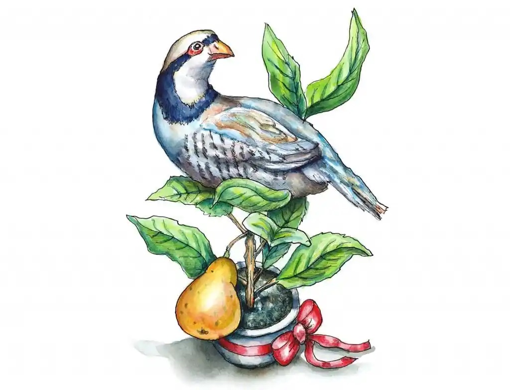 Carols for the Season of Christmas (1) The First Day of Christmas, 25&nbsp;December