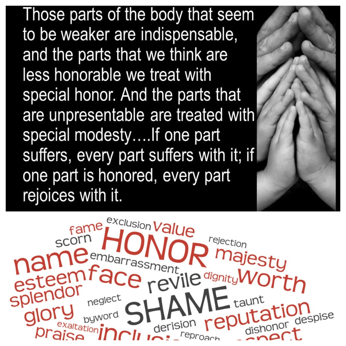 Greater honour to the inferior member (1 Cor 12; Epiphany&nbsp;3C)