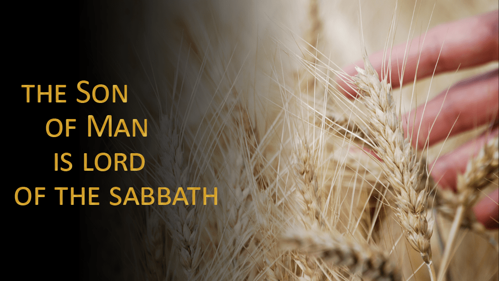 Plucking grain, healing, and choosing twelve apostles (Narrative Lectionary for Epiphany 4C; Luke&nbsp;6:1–16)