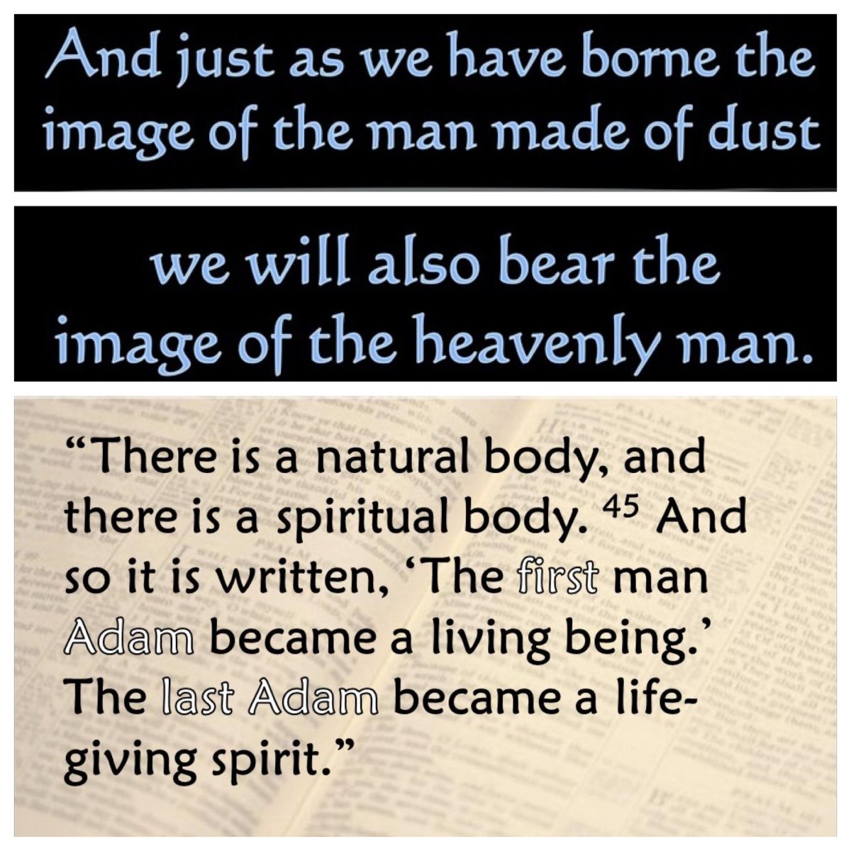 Perishable and imperishable, physical and spiritual, of the dust and of heaven (1 Cor 15; Epiphany&nbsp;7C)