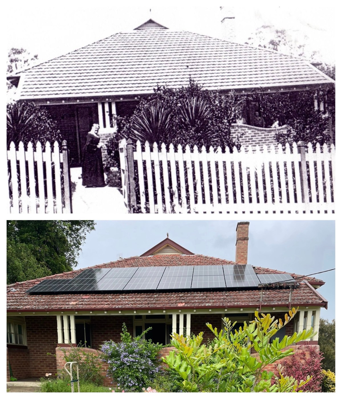 The Bruyns of Brown Street (9)—Ellen Esther Bruyn&nbsp;(concluded)