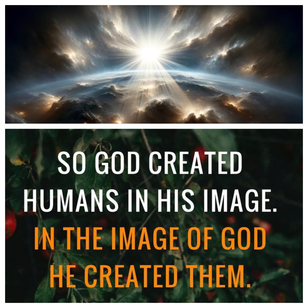 Seven days and one pair: and God saw that it was good (Genesis 1; Narrative Lectionary for Pentecost&nbsp;13)